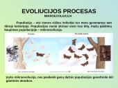 Evoliucijos raida 2 puslapis