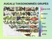 Evoliucijos raida 17 puslapis