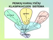 Evoliucijos raida 19 puslapis