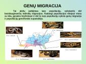 Evoliucijos raida 3 puslapis