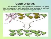 Evoliucijos raida 4 puslapis