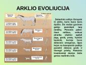 Evoliucijos raida 6 puslapis