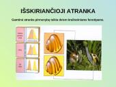 Evoliucijos raida 8 puslapis