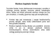 Finansų institucijos ir finansų rinkos 19 puslapis