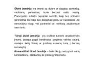 Finansų pagrindai 12 puslapis