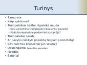 Fiskalinė konsolidacija 2 puslapis