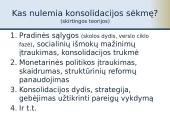 Fiskalinė konsolidacija 12 puslapis