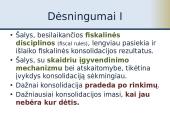 Fiskalinė konsolidacija 13 puslapis