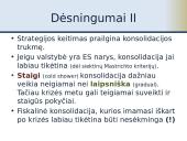 Fiskalinė konsolidacija 14 puslapis