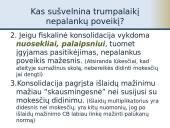 Fiskalinė konsolidacija 7 puslapis