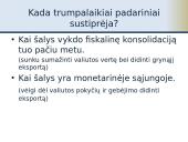 Fiskalinė konsolidacija 8 puslapis