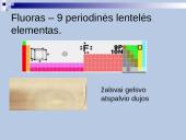 Fluoras ir jo reikšmė žmogaus organizmui 3 puslapis