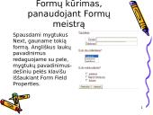 Formų kūrimas su FrontPage 17 puslapis
