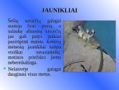 Galagų ekologija 12 puslapis