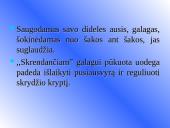 Galagų ekologija 5 puslapis