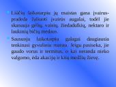 Galagų ekologija 9 puslapis