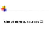 Galutinė (tęstinė) bendrovės vertė. Įsigijimų analizė 20 puslapis