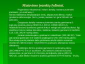 Gamybos įrankiai 10 puslapis