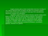 Gamybos įrankiai 2 puslapis