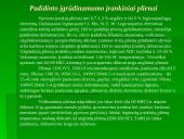 Gamybos įrankiai 3 puslapis