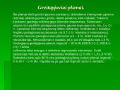 Gamybos įrankiai 4 puslapis