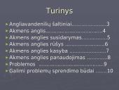 Gamtiniai angliavandenilių šaltiniai. Akmens anglis 2 puslapis