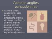 Gamtiniai angliavandenilių šaltiniai. Akmens anglis 8 puslapis