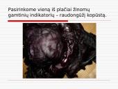 Gamtiniai indikatoriai tirpaluose 4 puslapis