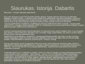 Geležinkelių transportas pasaulyje ir Lietuvoje 11 puslapis