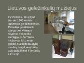 Geležinkelių transportas pasaulyje ir Lietuvoje 12 puslapis