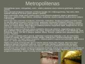 Geležinkelių transportas pasaulyje ir Lietuvoje 6 puslapis