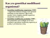 Kas yra genetiškai modifikuoti organizmai?