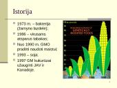 Kas yra genetiškai modifikuoti organizmai? 2 puslapis