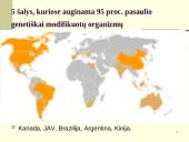 Kas yra genetiškai modifikuoti organizmai? 11 puslapis