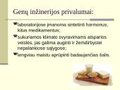 Kas yra genetiškai modifikuoti organizmai? 7 puslapis