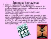 Genetiškai modifikuoti produktai (GMP) ir genų inžinerija 13 puslapis