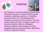 Genetiškai modifikuoti produktai (GMP) ir genų inžinerija 15 puslapis