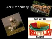 Genetiškai modifikuoti produktai (GMP) ir genų inžinerija 16 puslapis