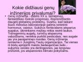 Genetiškai modifikuoti produktai (GMP) ir genų inžinerija 5 puslapis