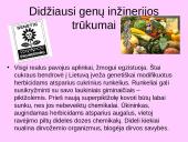 Genetiškai modifikuoti produktai (GMP) ir genų inžinerija 6 puslapis