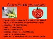 Genetiškai modifikuoti produktai (GMP) ir genų inžinerija 7 puslapis