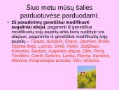 Genetiškai modifikuoti produktai (GMP) ir genų inžinerija 8 puslapis
