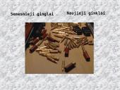 Ginklai ir bombos 2 puslapis