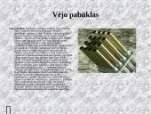 Ginklai ir bombos 15 puslapis