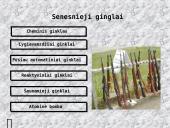 Ginklai ir bombos 3 puslapis