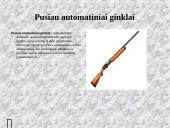 Ginklai ir bombos 5 puslapis