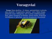 Gyvybės atsiradimo kilmės hipotezės. Nariuotakojai 12 puslapis