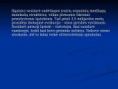 Gyvybės atsiradimo kilmės hipotezės. Nariuotakojai 5 puslapis