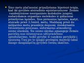 Gyvybės atsiradimo kilmės hipotezės. Nariuotakojai 6 puslapis