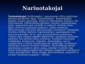 Gyvybės atsiradimo kilmės hipotezės. Nariuotakojai 7 puslapis
